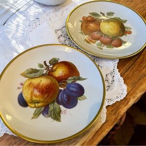 Set Of 2 JWK Western Germany Fine Porcelain Salad Plate Fruit Motif 7.5” Vintage